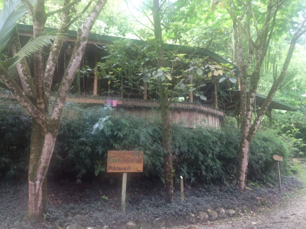 photo 1 (6)