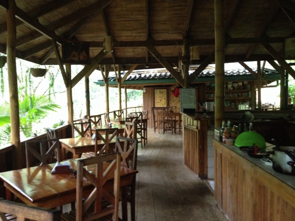 photo 4 (2)