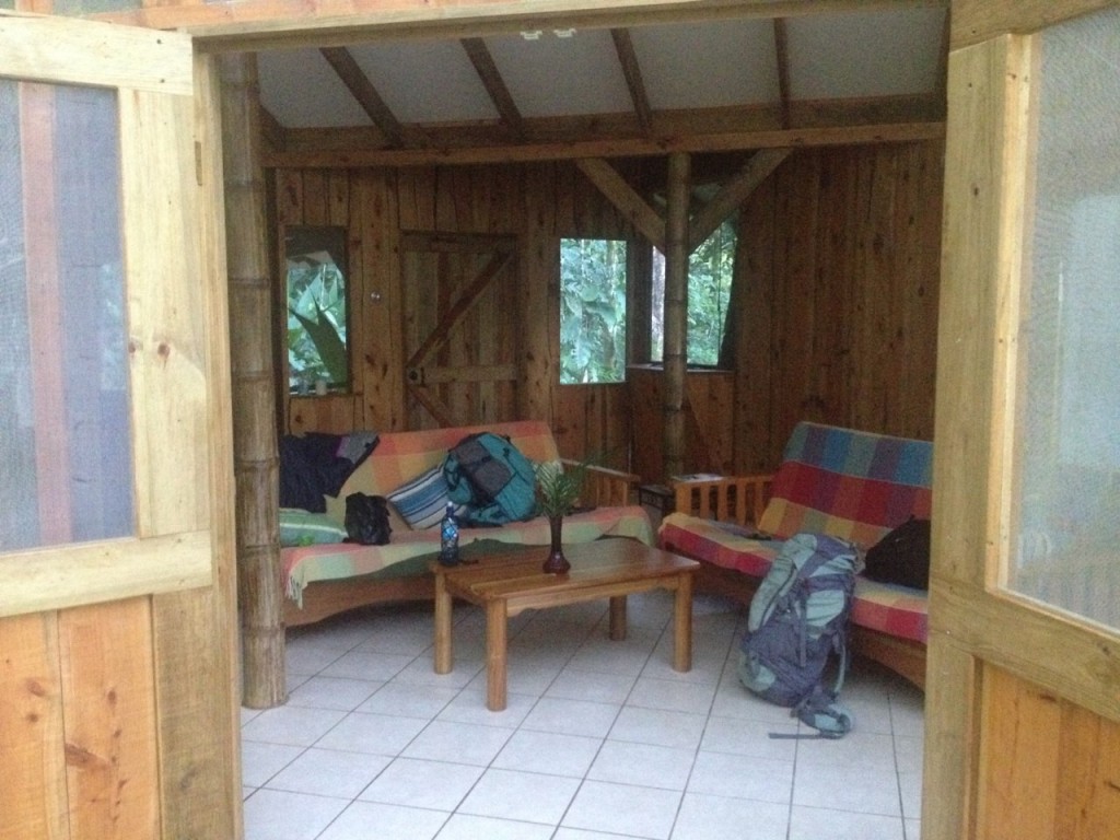 photo 4 (9)