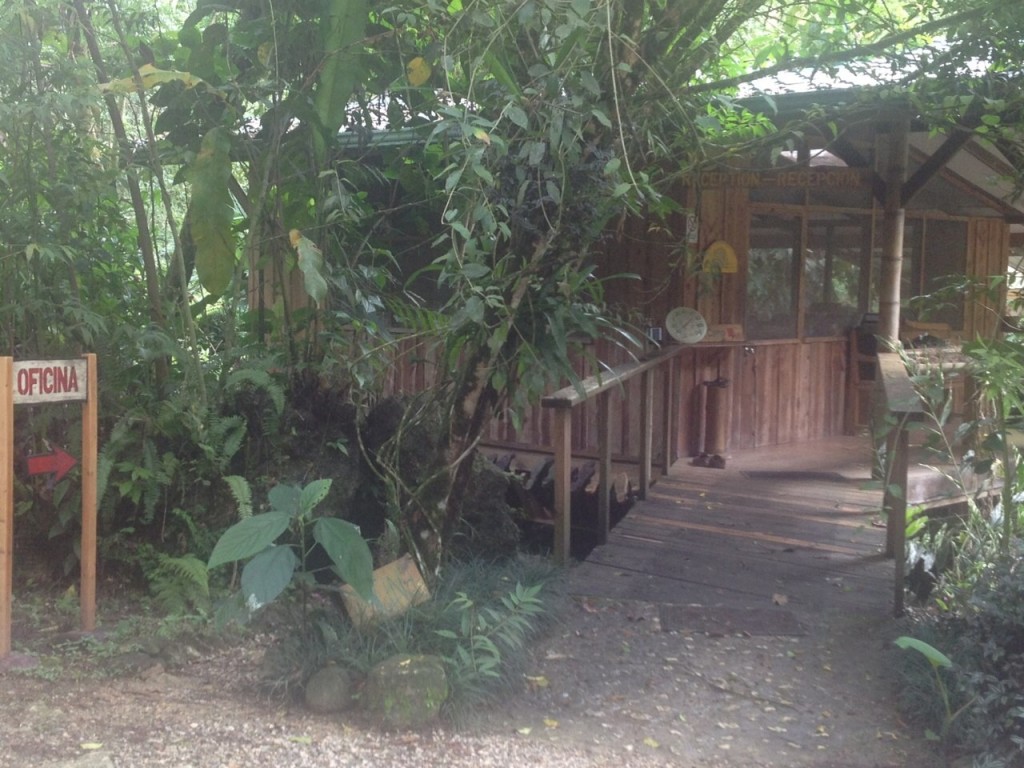 photo 5 (1)
