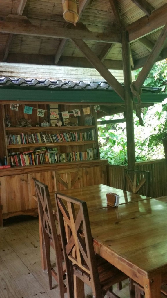 photo 5 (2)