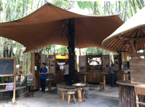 グリーンスクール